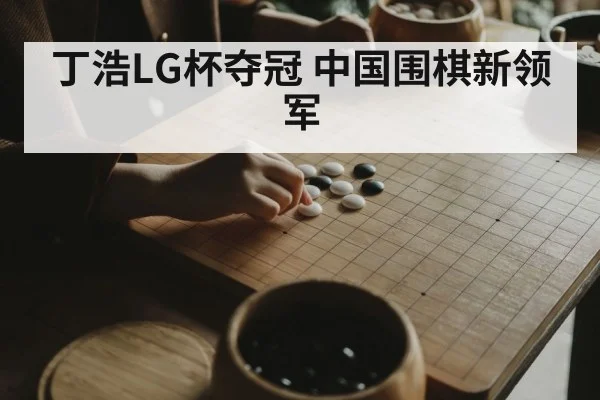 Chinese Go player winner